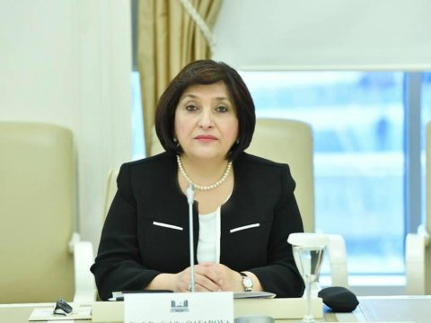 Sahibə Qafarova mina xəritəsi məsələsini MDB PA-da qaldırdı