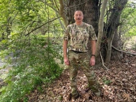 Əliyev Şərqi Zəngəzura niyə getdi? - ŞƏRH