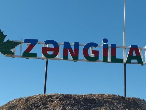 İsrail Zəngilanda camış ferması tikəcək