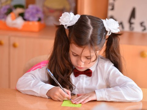I sinfə qəbulla bağlı sualı olan valideynlərin NƏZƏRİNƏ