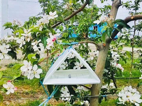 Fermerlər zərərvericilərə görə SMS alacaqlar