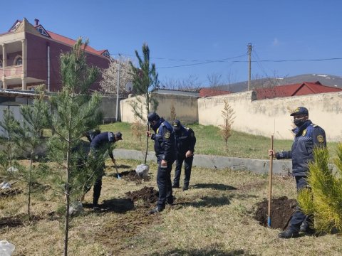 Polislər ağac əkdilər - FOTO