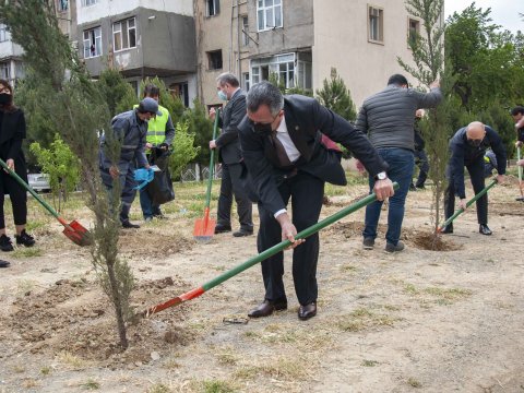 Heydər Əliyevin doğum günü Nərimanovda ənənəvi ağacəkmə aksiyası ilə qeyd edilib - FOTOLAR