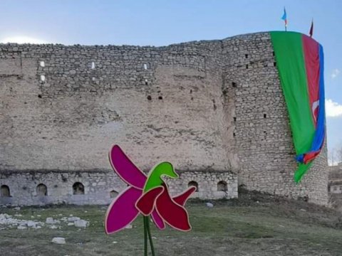 Xarı bülbül festivalının sürprizləri - ÖZƏL