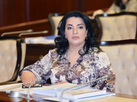 “Azərbaycanın dəmir yumruğu yerindədir” – Fatma Yıldırım