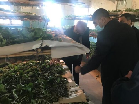 Füzulidə baramaçılığın inkişafı nəzarətdə saxlanılır