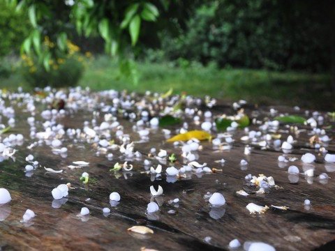 Sabahdan hava dəyişəcək: yağış, dolu... - XƏBƏRDARLIQ