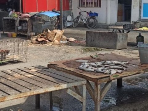 Yevlax bazarında nehrə yağı adı ilə bitki yağları satılır - FOTO