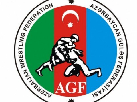 Güləşçimiz erməni rəqibini məğlub ETDİ