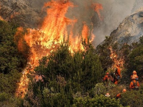 Azərbaycandakı meşə yanğınlarının səbəbləri açıqlandı