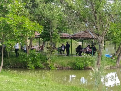 Polisdən Şəkidəki toy cəriməsi ilə bağlı qeyri-professional XƏBƏR