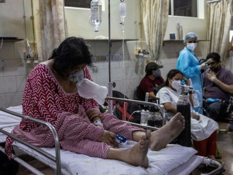 Hindistanda “Qara kif” epidemiyası elan edildi