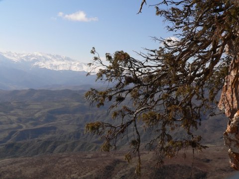 Ordumuz Zəngəzurda daha 1,5 kilometr İRƏLİLƏDİ