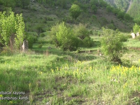Kəlbəcərin Qasımbinəsi kəndi - VİDEO
