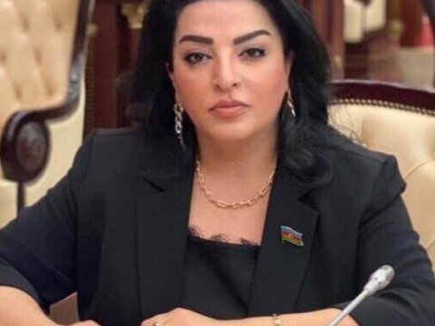 Vətən müharibəsi zamanı  İtaliya Azərbaycanın yanında olub - Deputat