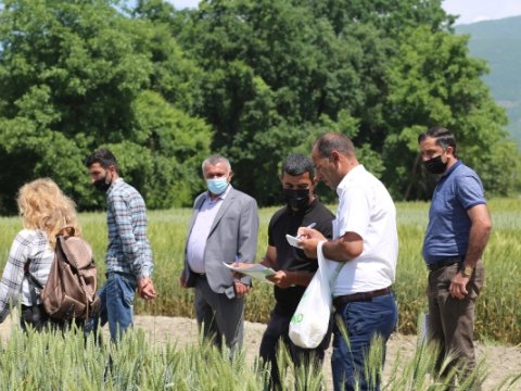 Fermerlər, toxum istehsalçıları və idxalçıları üçün təlim keçirilib