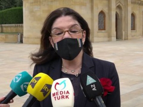 Fransalı senator: 