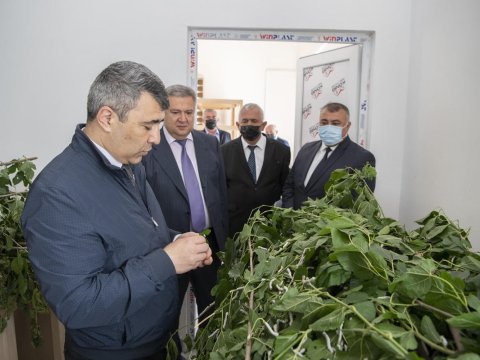 Nazir Şamaxı və Ağsuda fermer təsərrüfatlarına baş çəkdi - FOTO