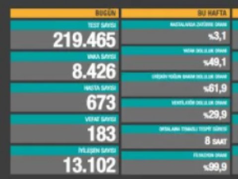 Türkiyədə daha 183 nəfər virusdan öldü