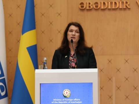 ATƏT sərhədimizdə baş verənlərdən narahatdır