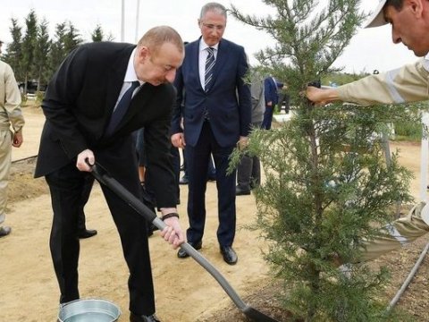 Prezident Ağdam şəhər meşə-parkında ağac əkdi