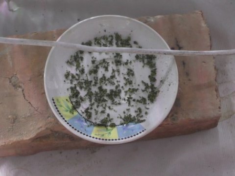Balakəndə narkotik vasitələrin emal edildiyi laboratoriya aşkarlandı - FOTOLAR