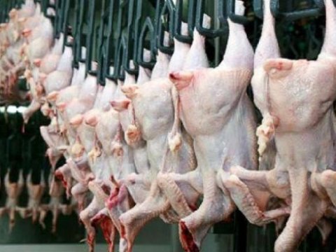 Almaniyadan Azərbaycana quş əti gətirilməsi qadağan olundu