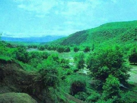 Ermənistan Bəsitçayda 40 hektarı məhv edib