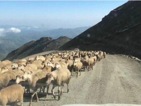Tərəkəmələr də qayıtdı: Elat KƏLBƏCƏRƏ köçdü - FOTO