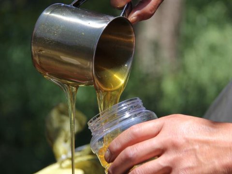 Az qaldı: Bazarlarda Kəlbəcər balı, pendiri, əti görəcəksiniz   