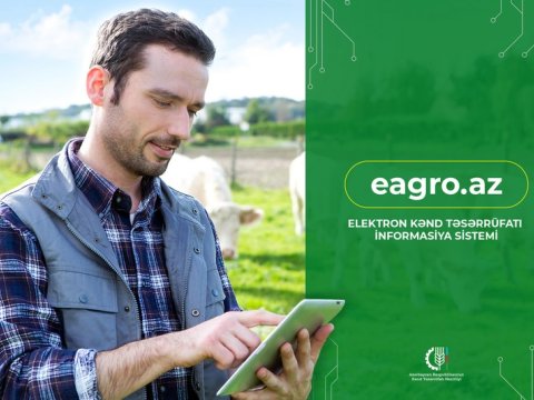 Subsidiyanı təyinatı üzrə istifadə etməyənlər cərimələnəcək