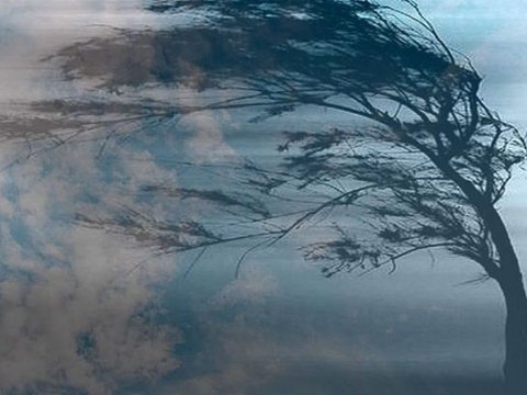 Hava dəyişəcək, güclü külək əsəcək - XƏBƏRDARLIQ