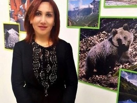 Mətbuat katibindən müraciət: “Bir nəfər meşələrin məhvinə səbəb olur” 