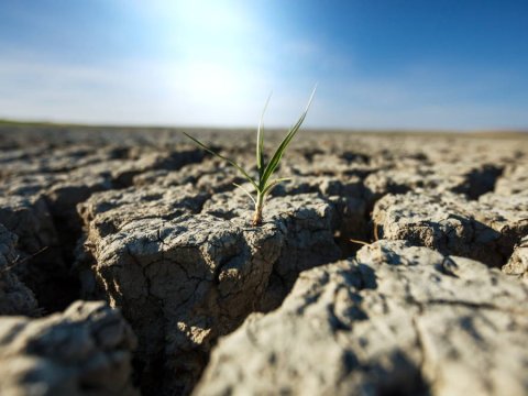 Ermənistanda quraqlıq: Yerevan-Gümrü yolu bağlandı