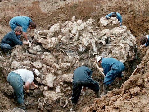 Srebrenitsa qətliamı - Avropa müsəlmanlarının Xocalı soyqırımından sonrakı QIRĞINI