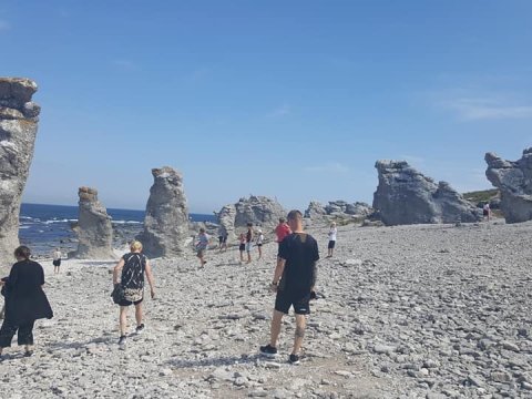 İsveç savannasına səyahət: Qotlanddan REPORTAJ