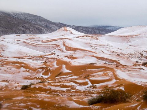 Afrikanın cənubunda rekord: görünməmiş şaxta...