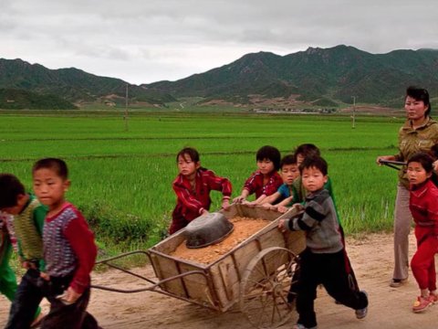 Şimali Koreyada aclıq başlaya bilər