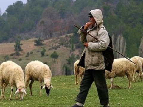 Çoban fermeri ÖLDÜRDÜ