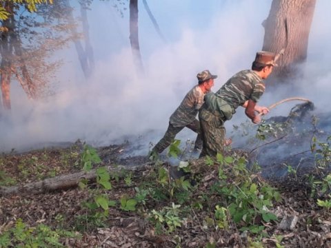Yardımlıda yanğının söndürülməsi davam edir - FOTO