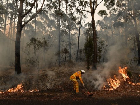 Meşə yanğınları: Avropanın Türkiyə ilə Yunanıstan arasında qoyduğu FƏRQ