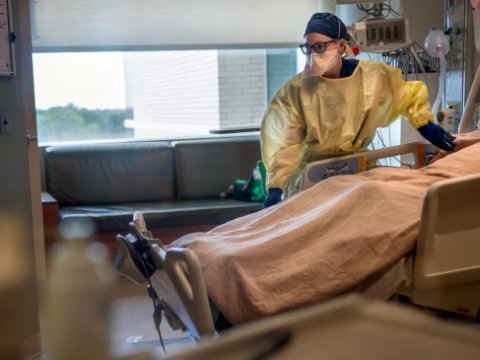 Koronavirus mutasiya etdi - Ölüm ehtimalını 82% artıran ŞTAM