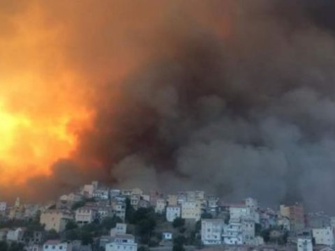 Meşə yanğınlarında 25 hərbçi həlak oldu