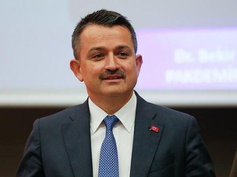 “Böyük yanğınların hamısı söndürülüb” – Türkiyəli nazir