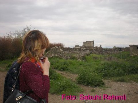 Mən gəldim, sevgili ağac!  