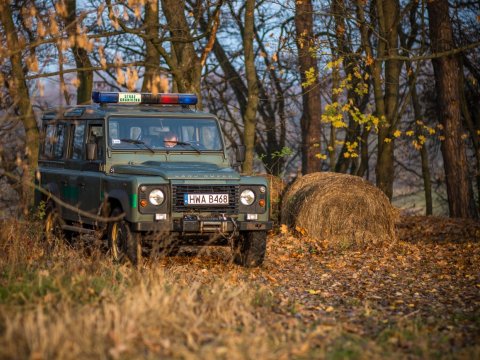 Avropaya miqrant aparan azərbaycanlı SAXLANILDI