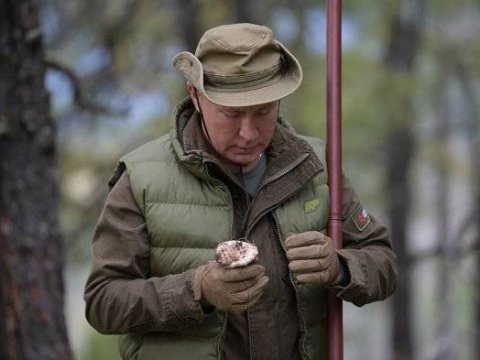 Putin tayqa meşələrində istirahət edir