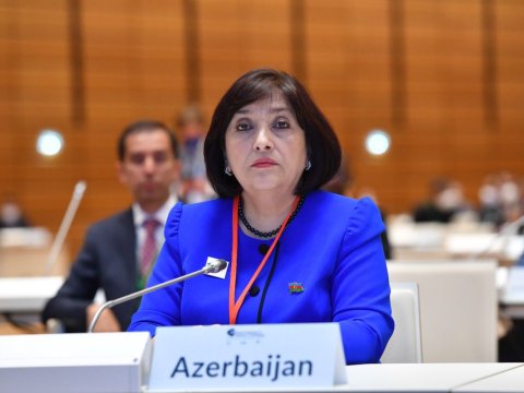 Sahibə Qafarova Azərbaycanın COVID-19-la mübarizəsindən danışdı