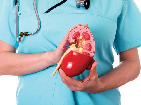 COVID-ə yoluxan böyrək xəstələrinin ölüm riski yüksəkdir