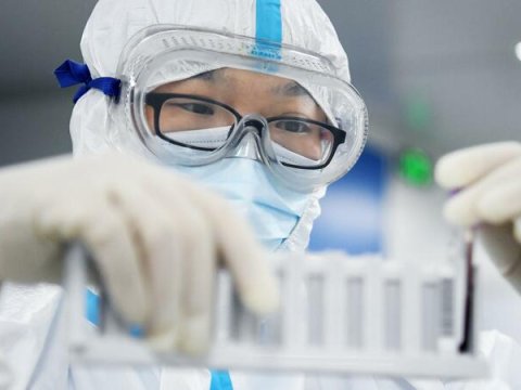 Azərbaycanda “Mu” ştammına yoluxan var? - ÜST açıqladı